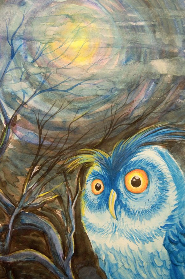 Night owl Print